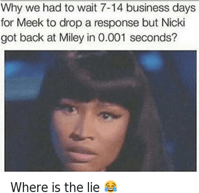 Meek Mill, Miley Cyrus, And Nicki Minaj - Memes About Nicki Minaj (400x502), Png Download