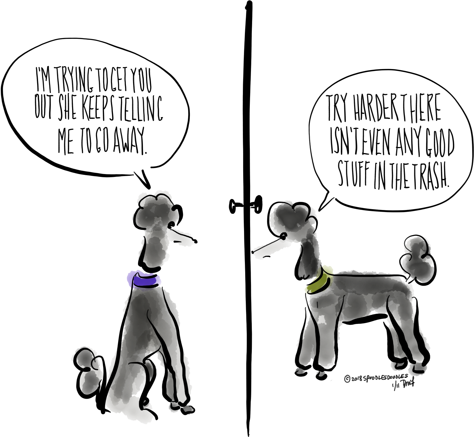Clip Download Maltese Drawing Teacup Poodle - Poodle (2731x2048), Png Download
