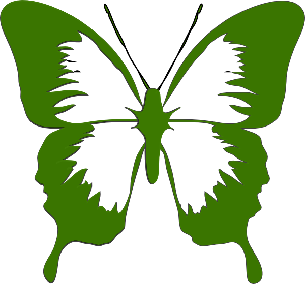 Butterfly Png (600x559), Png Download