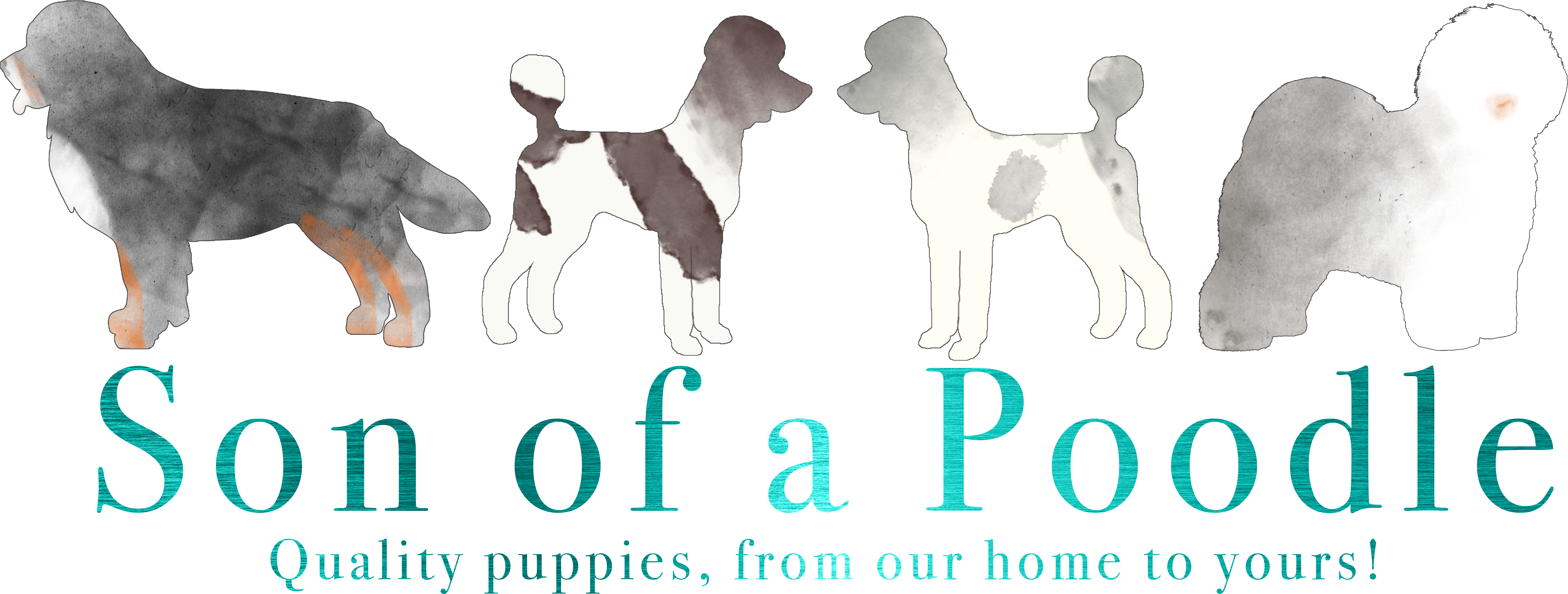 Home - Guard Dog (9519x4800), Png Download