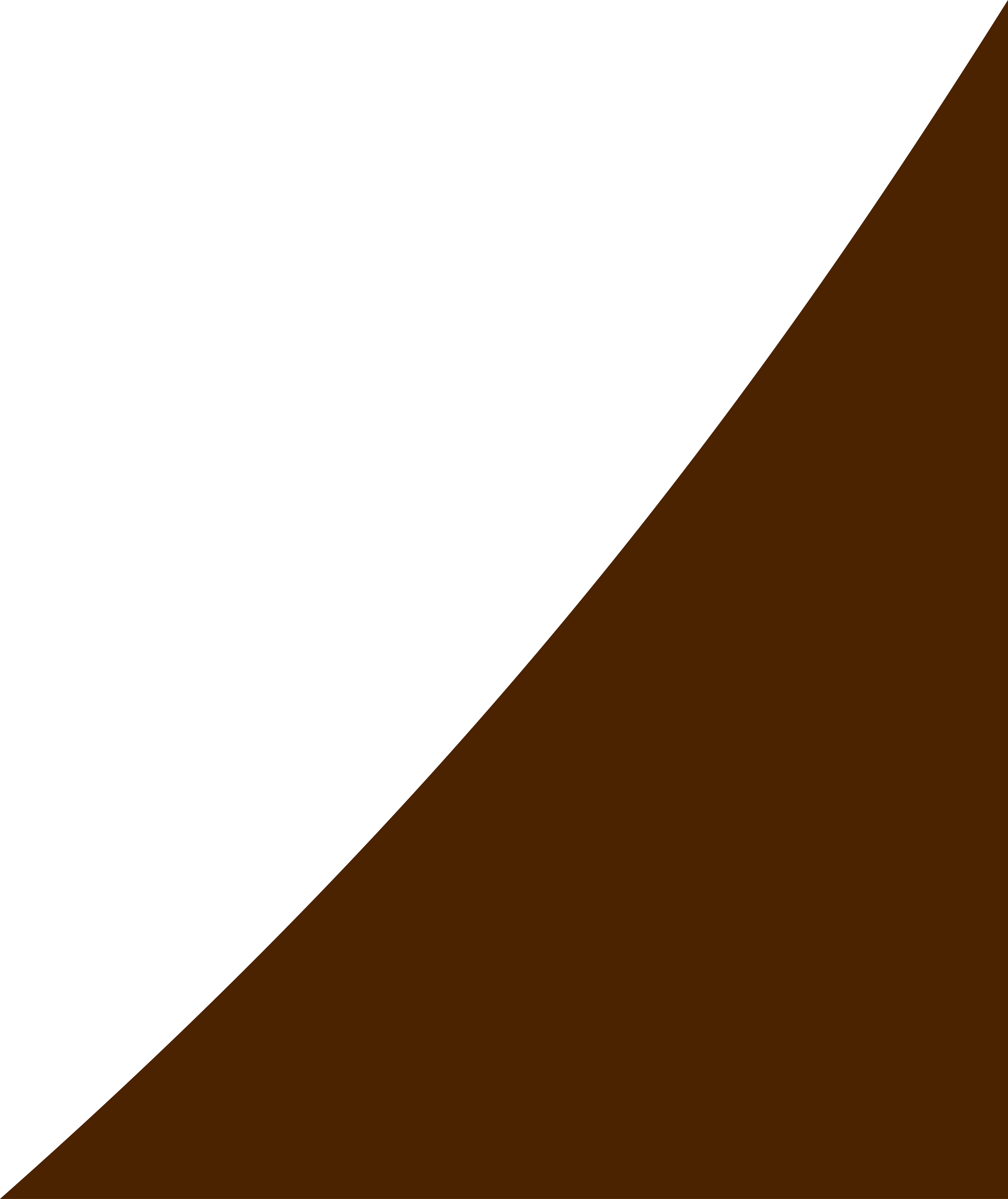 Brown 22 X 28, Download - Dark Brown Line Png (5392x6412), Png Download