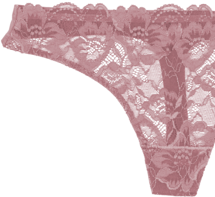 Lace Front Seamless Thong - Lace Wig (450x600), Png Download