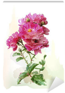 Watercolor Illustration Of The Pink Roses Wall Mural - Illustration (400x400), Png Download