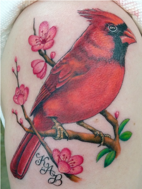Randie - Northern Cardinal (600x600), Png Download