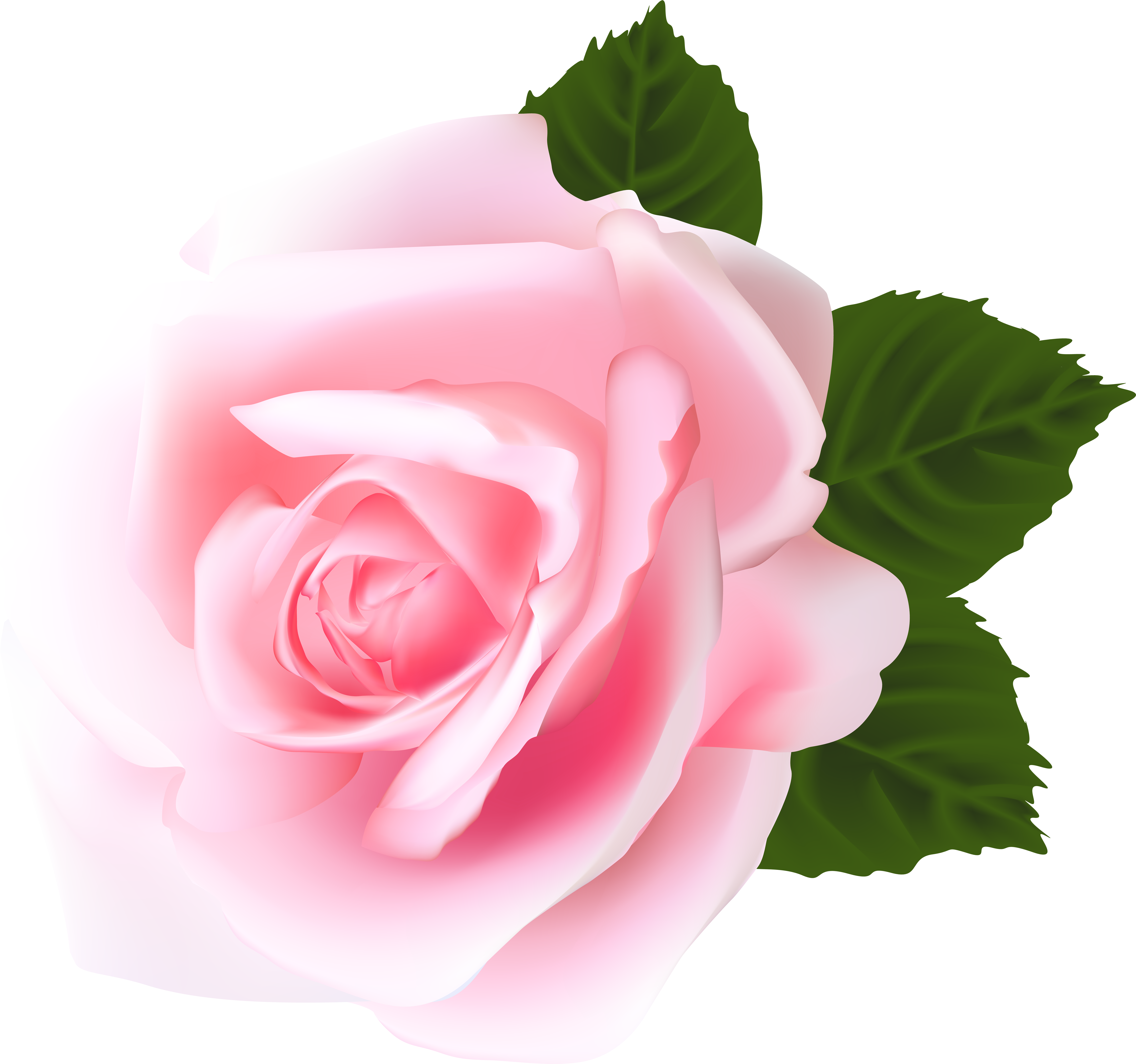 Pink Rose Png Vector (8000x7496), Png Download