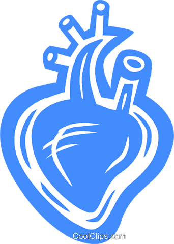 Human Heart Royalty Free Vector Clip Art Illustration - Wound Healing (342x480), Png Download