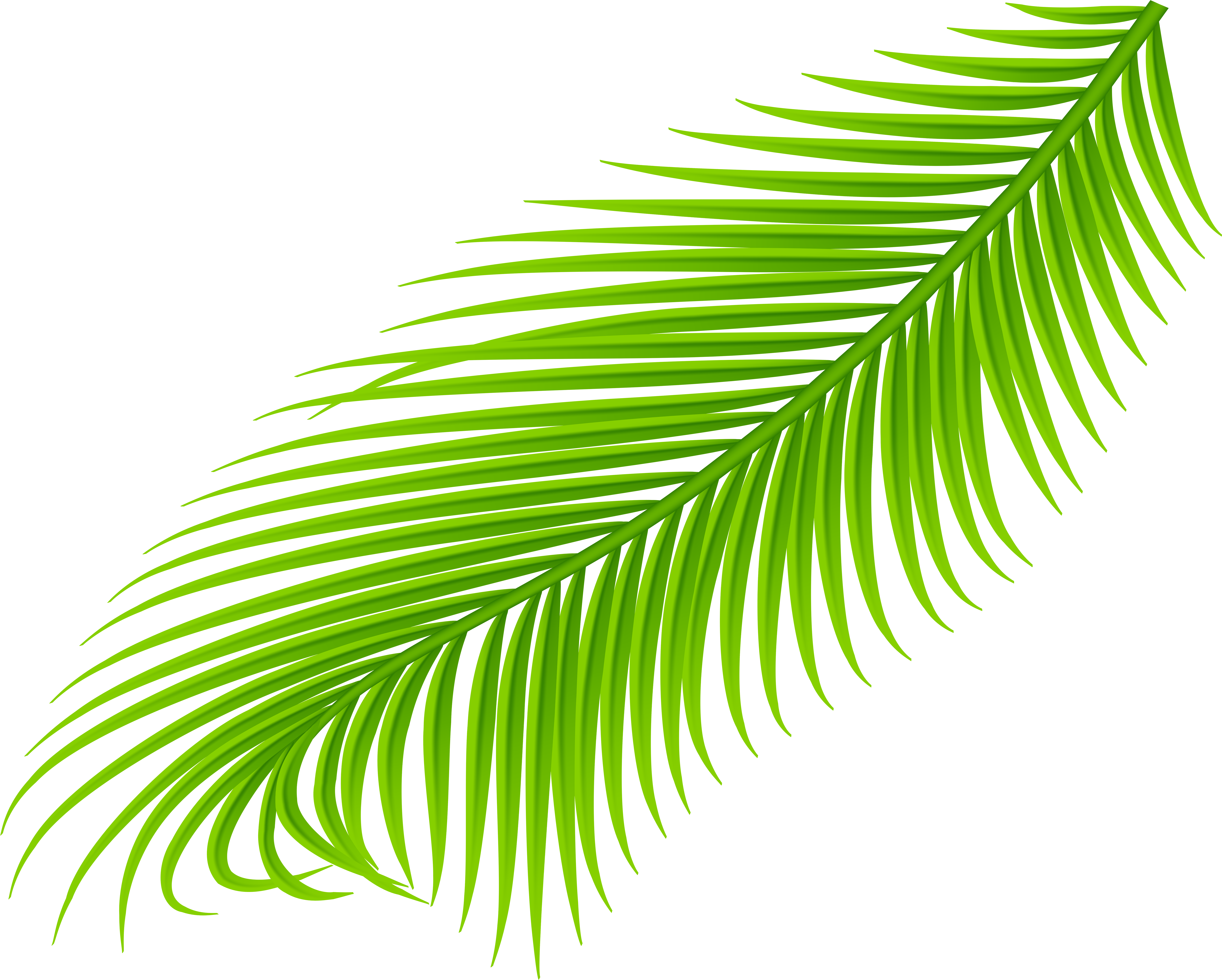 View Full Size (8000x6494), Png Download