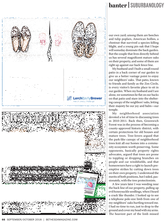 Folio Eleven From Burchard Of Sion's De Locis Ac Mirabilibus (357x468), Png Download