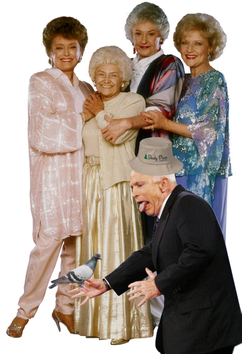 Mccain Rips Trump's Congratulatory Call To Putin As - Veronicasshowcase Golden Girls Tote Bag, 80s, Tote (500x750), Png Download