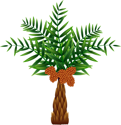 The Oil Palm, Which Was Originally Native To Africa, - Palm Oil Tree Clip Art (389x400), Png Download