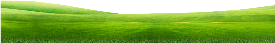 Green Lawn Free Vector - Grass (1024x597), Png Download