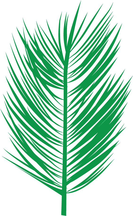 “the Shame Of The Cross” [1 Corinthians - Black Palm Leaf Indoor/outdoor Cushion (564x916), Png Download