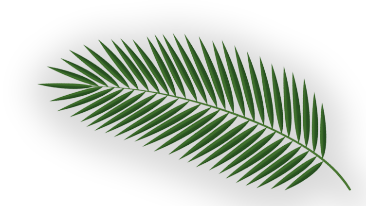 Art (752x424), Png Download