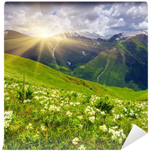 Photography (400x400), Png Download