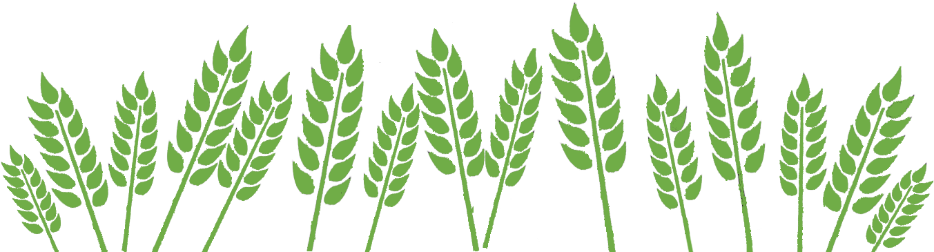 Wheat Field » - Wheat Field Clipart Black And White (1418x547), Png Download