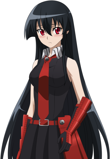 The Shit Waifu Of The Day Is - Akame Ga Kill Akame (500x645), Png Download
