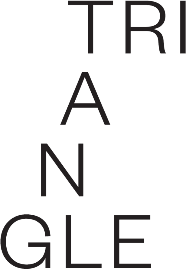 Triangle Arts Associationwww - Todd Sampson (640x925), Png Download