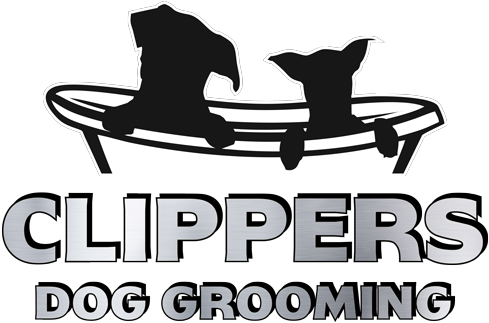 Dog (500x325), Png Download