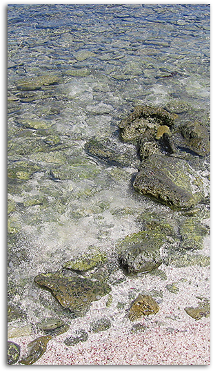 Shallow Shore Big - Painting (485x550), Png Download