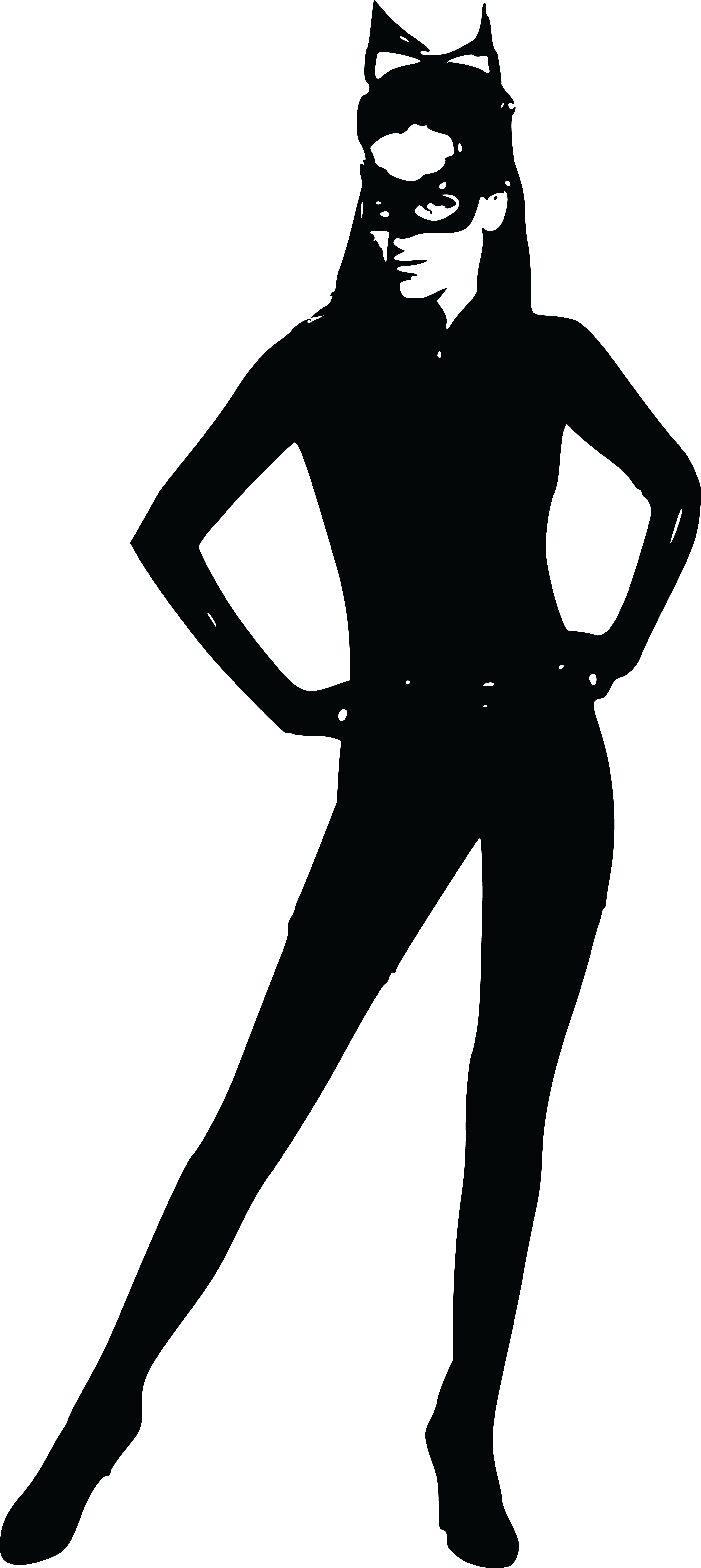 Free Clipart Of A Woman In A Cat Suit - Women's Women's Grand Heritage Catwoman Costume - Black (3578x8000), Png Download