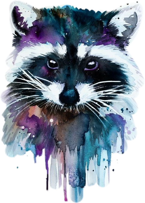 Report Abuse - Watercolour Raccoon (483x673), Png Download