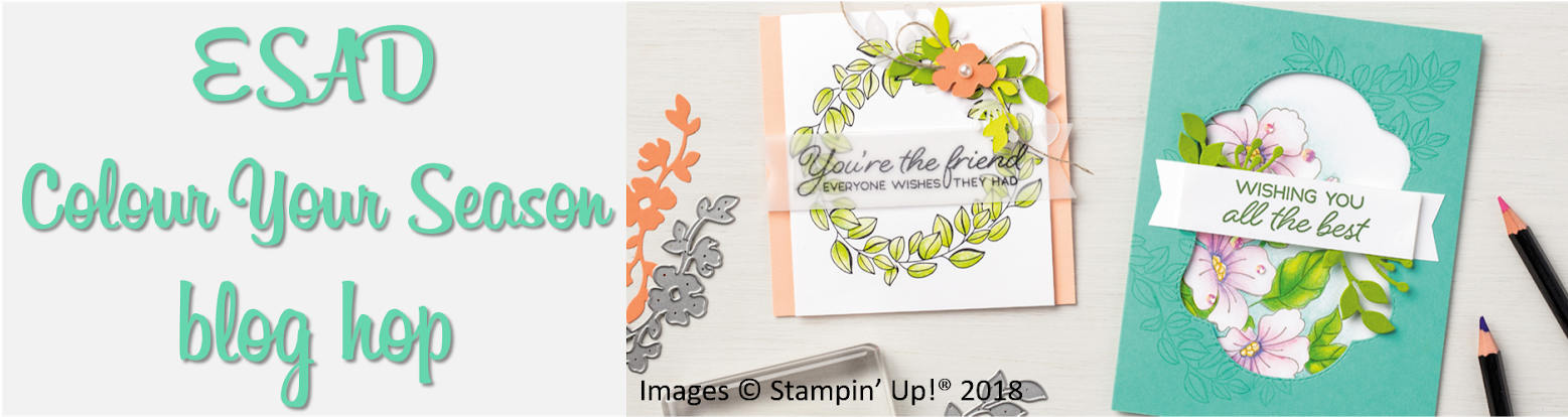 Hi And Welcome To Another Esad Blog Hop - Stampin Up Color Your Season (1600x508), Png Download