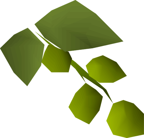 Asgarnian Hops Detail - Cabbage (504x480), Png Download