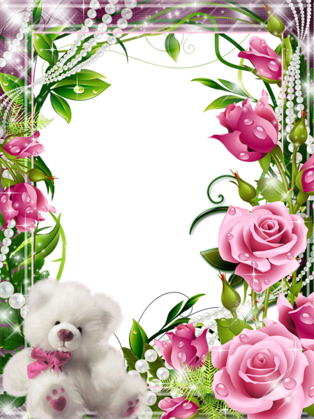 Quadro Transparente Com Rosas E Branco Teddy - Imagenes De Caratulas De Rosas (450x600), Png Download