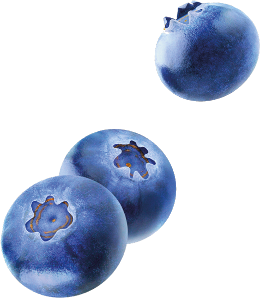 Patisserie And Cafè - Fallende Blaubeeren Rechteckiger Aufkleber (540x617), Png Download