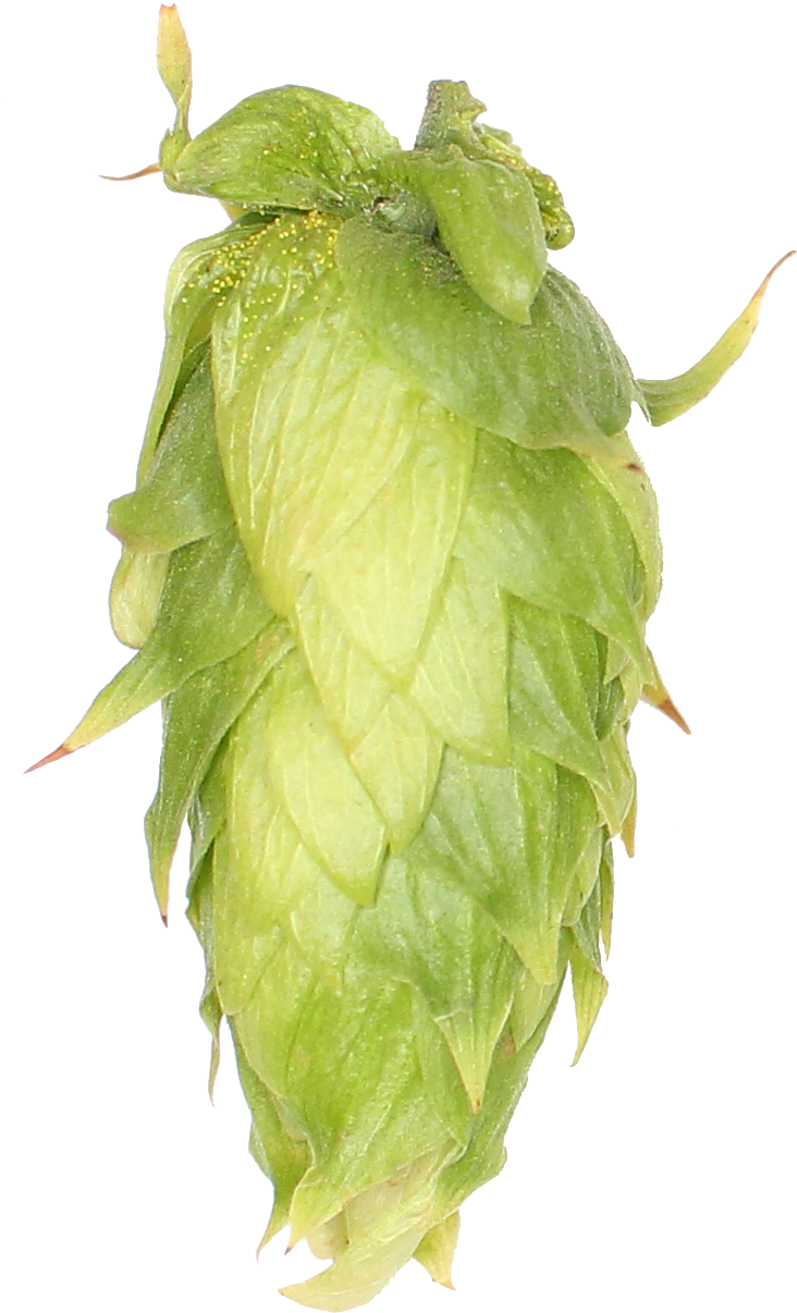 Galena (762x1344), Png Download