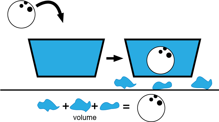 Displacement With Bowling Ball - Bowling Ball (755x462), Png Download
