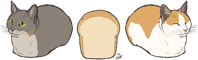 [cat Loaves] - Sticker (640x281), Png Download