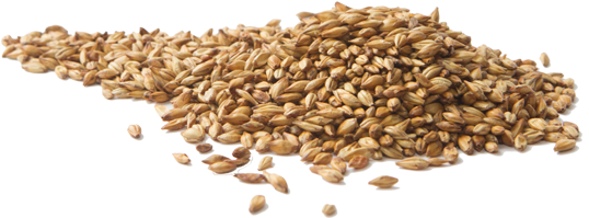 The Combination Of Noble Hops, Speciality Malts And - Malt Png (551x300), Png Download