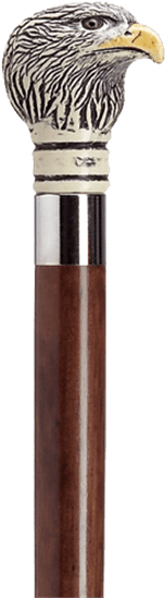 Eagle Head Scrimshaw Brown Walking Cane - Kensingtonrow Home Collection Canes - Majestic Eagle (555x555), Png Download