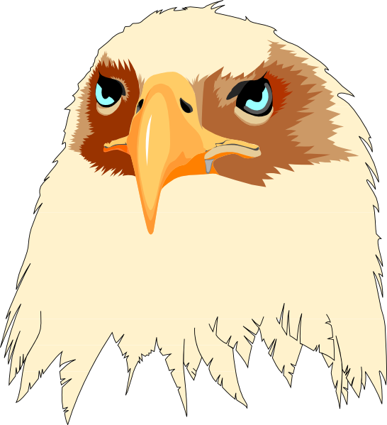 Eagle Sunglasses American Flag (546x599), Png Download