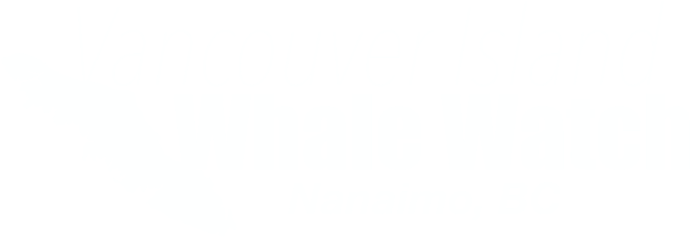 Viwwlogo - Watching - Series 1-7 (1000x358), Png Download