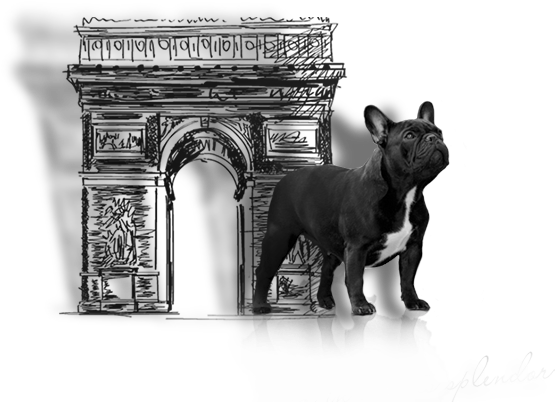 Success Is Not A Matter Of Coincidence - Monochrome (748x529), Png Download