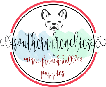 French Bulldog Face Outline (640x360), Png Download