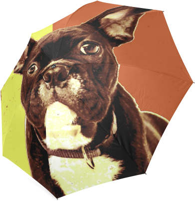 French Bulldog Foldable Umbrella - Journal By Irreverent Journals 9781542555234 (paperback) (500x500), Png Download