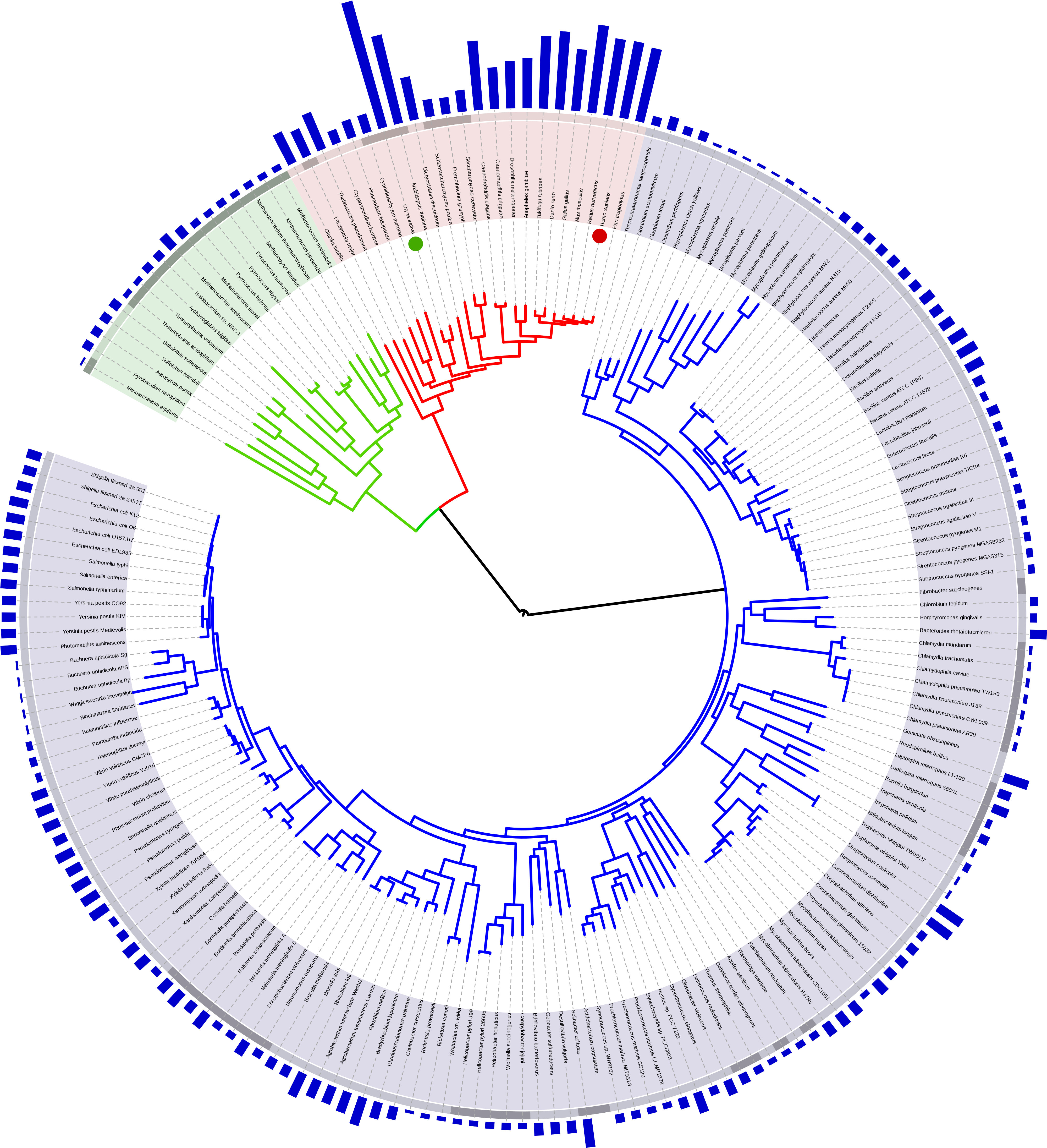 Tree Of Life With Genome Size - Cladistic Tree Of Life (4096x4484), Png Download