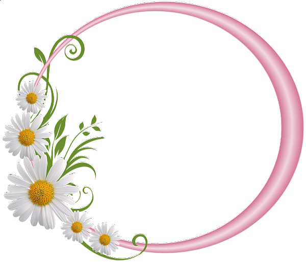 Pink Round Frame With Daisies Borders And Frames, Borders - Have A Blessed Sabbath (600x515), Png Download