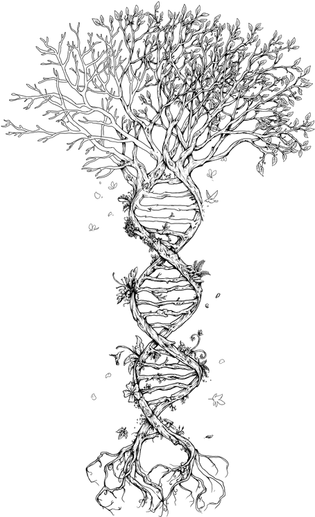 Tree Of Life @lindsay Poland This Is Soooo Me - Odds And Ends [book] (486x750), Png Download