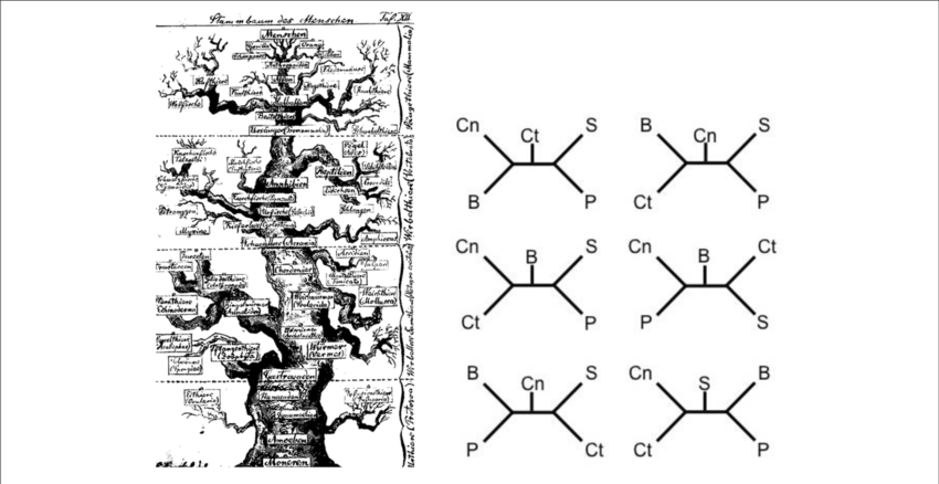 One Of The First Evolutionary Scenarios For The Animal - Darwin And The Emergence Of Evolutionary Theories (850x438), Png Download