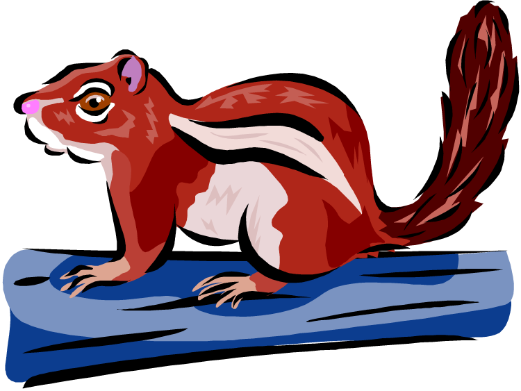 Chipmunk Clipart Small Squirrel - Squirrel (750x563), Png Download