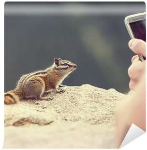 Photograph (400x400), Png Download
