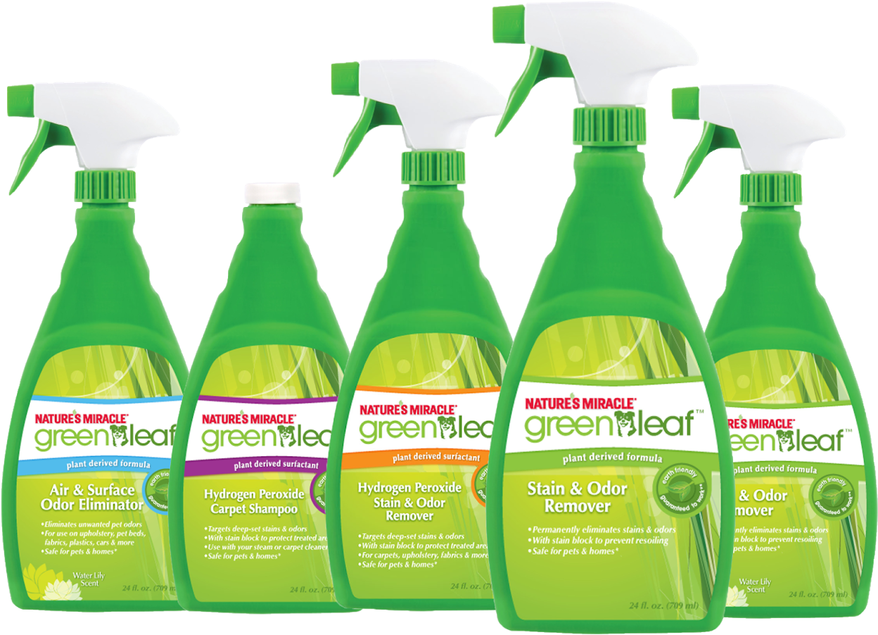 Green - Eco Friendly Cleaning Products Png (1600x950), Png Download