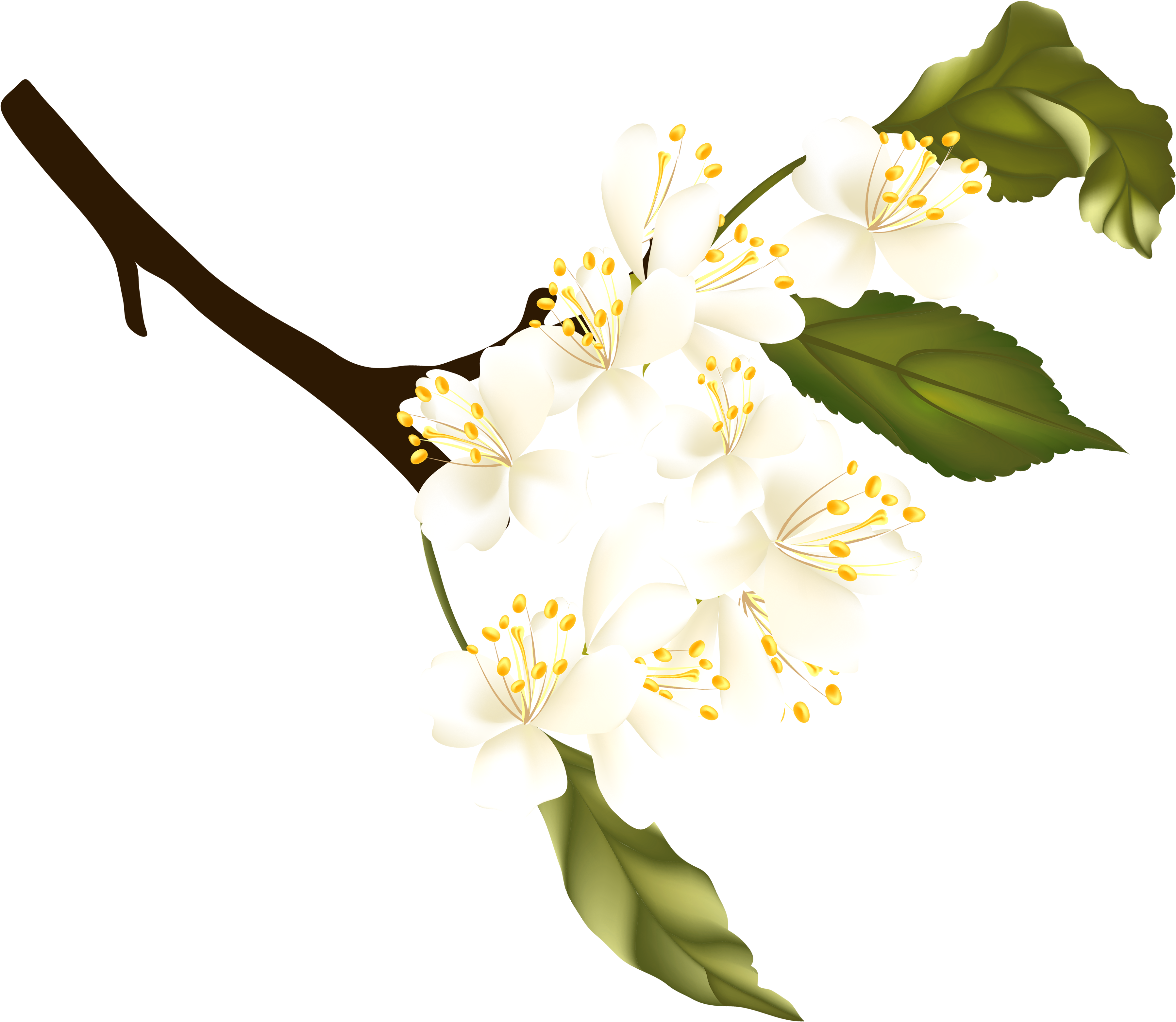 Branch Clipart Spring - Portable Network Graphics (3790x3261), Png Download