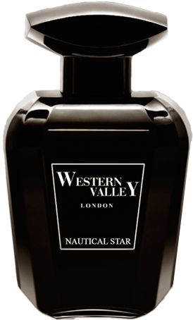 Nautical Star (376x466), Png Download