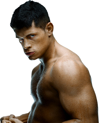 Cody Rhodes Hometown - Cody Rhodes (322x400), Png Download
