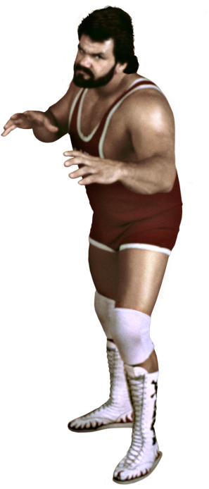 Career Highlights - Wwe Steve Williams Png (320x728), Png Download